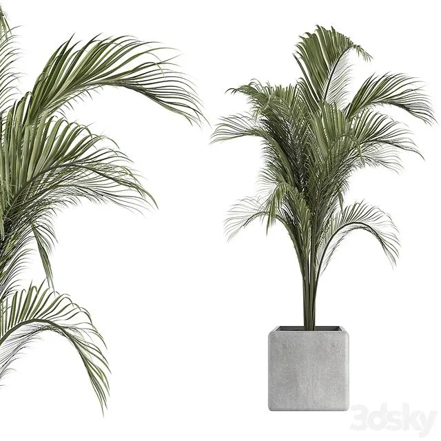 OutDoor Plant No 2 3D Model OutDoor Plant No 2 3D Model