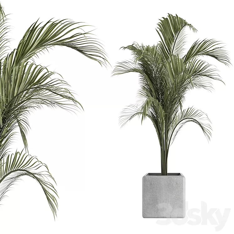 OutDoor Plant No 2 3D Model Free Download