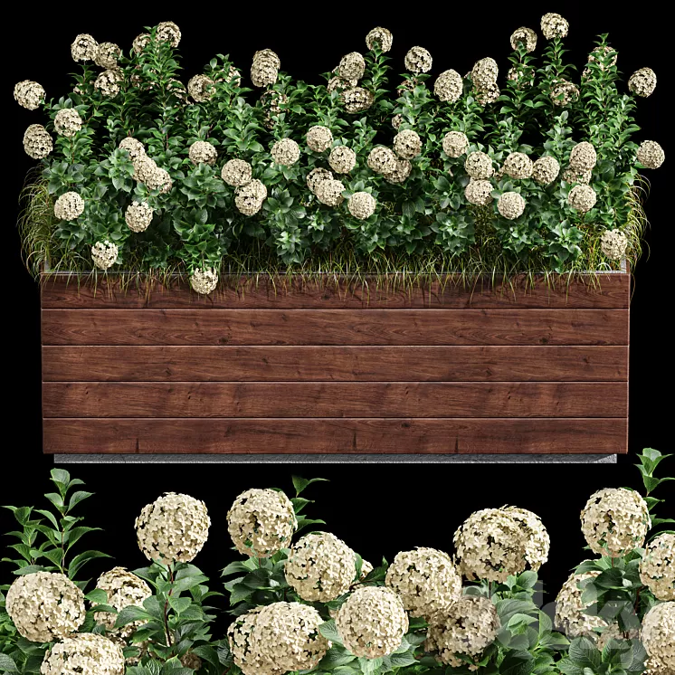 Outdoor Plant Set 001 – Plant Box 3D Model
