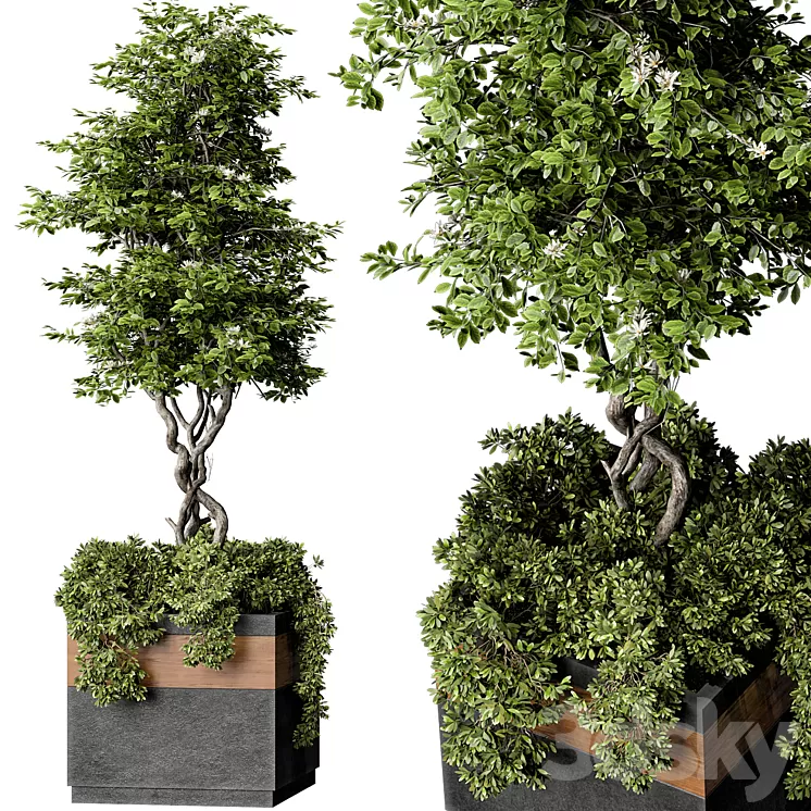 Outdoor Plant Set 01 3D Model Outdoor Plant Set 01 3D Model