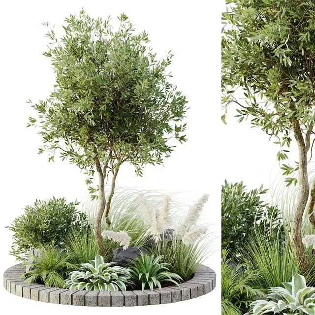 Outdoor plant set 05 3D Model