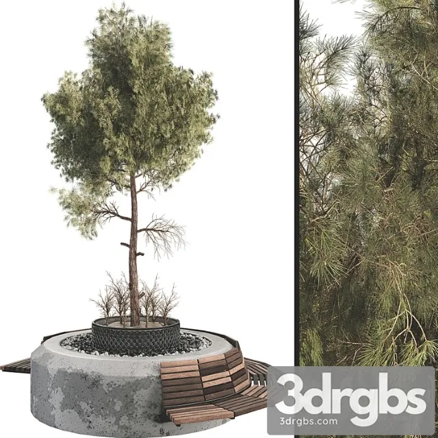 Outdoor plant set 06 3D Model Download
