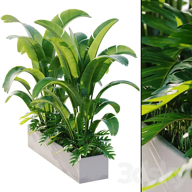 outdoor plant set 12 3D Model