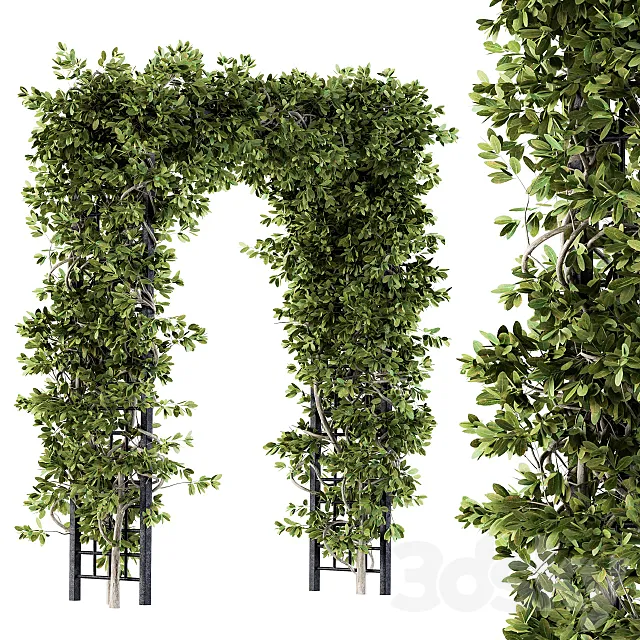 Outdoor Plant Set 121 – Pergola Ivy 3D Model