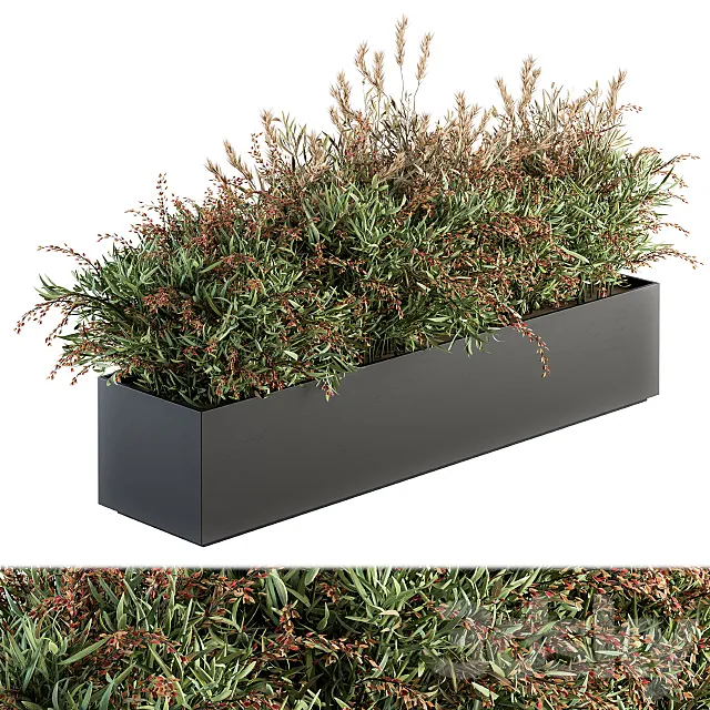 Outdoor Plant Set 166 – Plant Box Bush 3DModel
