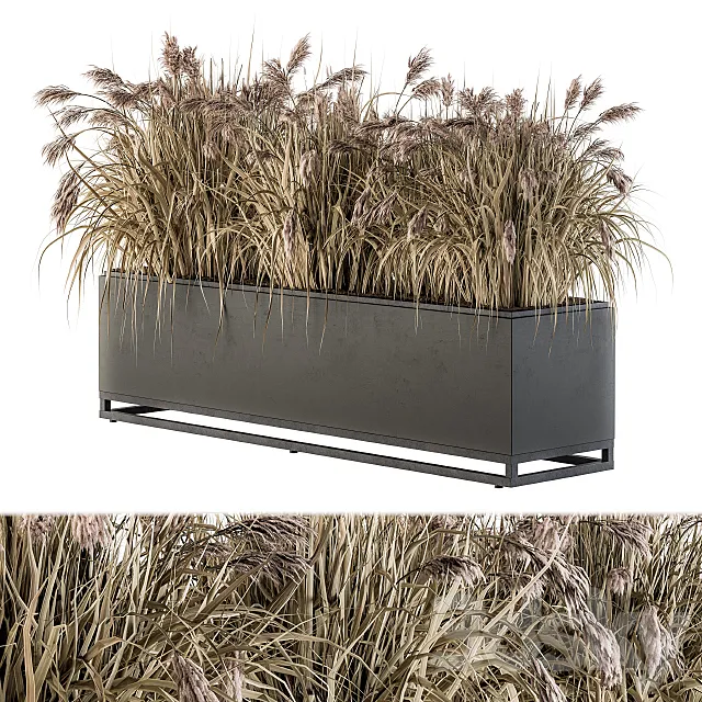 Outdoor Plant Set 184 – Plant Box Dried 3D Model Outdoor Plant Set 184 – Plant Box Dried 3D Model