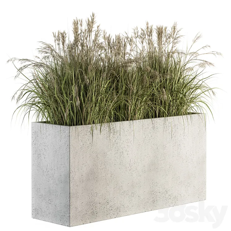 Outdoor Plant Set 185 – Plant in Pot 3D Model Free Download