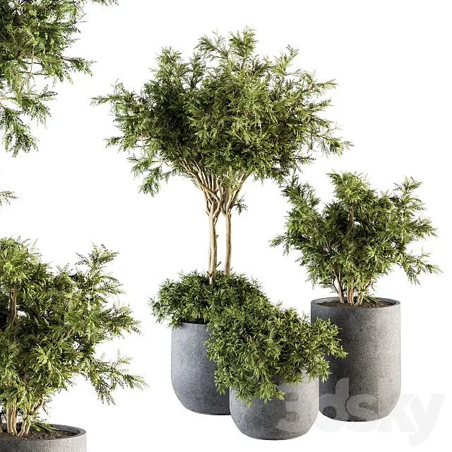Outdoor Plant Set 198 – Plant and Tree in Pot 3D Model Outdoor Plant Set 198 – Plant and Tree in Pot 3D Model