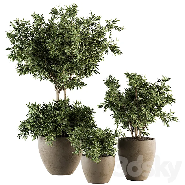 Outdoor Plant Set 203 – Plant and Tree in Pot 3DModel Outdoor Plant Set 203 – Plant and Tree in Pot 3DModel