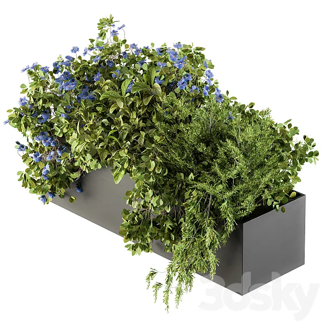 Outdoor Plant Set 208 – Plant Box Blue Flower 3DModel Outdoor Plant Set 208 – Plant Box Blue Flower 3DModel