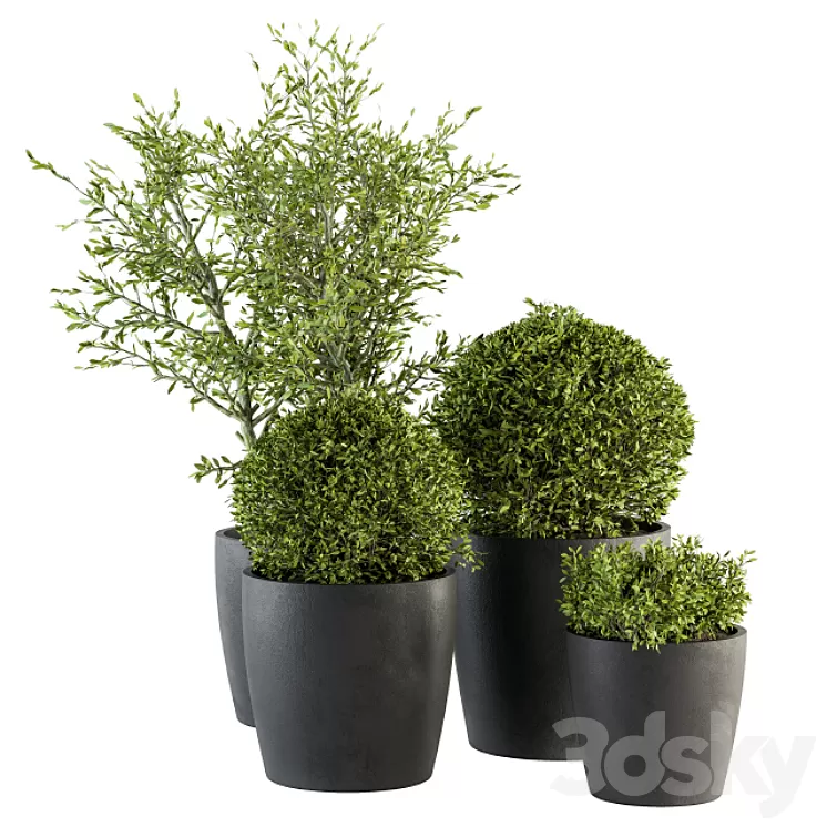Outdoor Plant Set 209 – Plant and Tree in Pot 3D Model Outdoor Plant Set 209 – Plant and Tree in Pot 3D Model