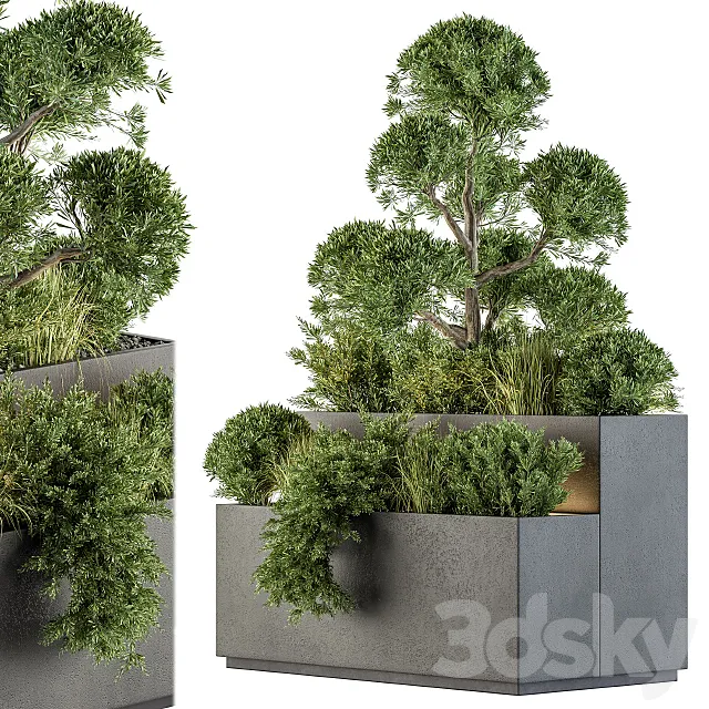 Outdoor Plant Set 214 – Plant Box 3D Model Outdoor Plant Set 214 – Plant Box 3D Model