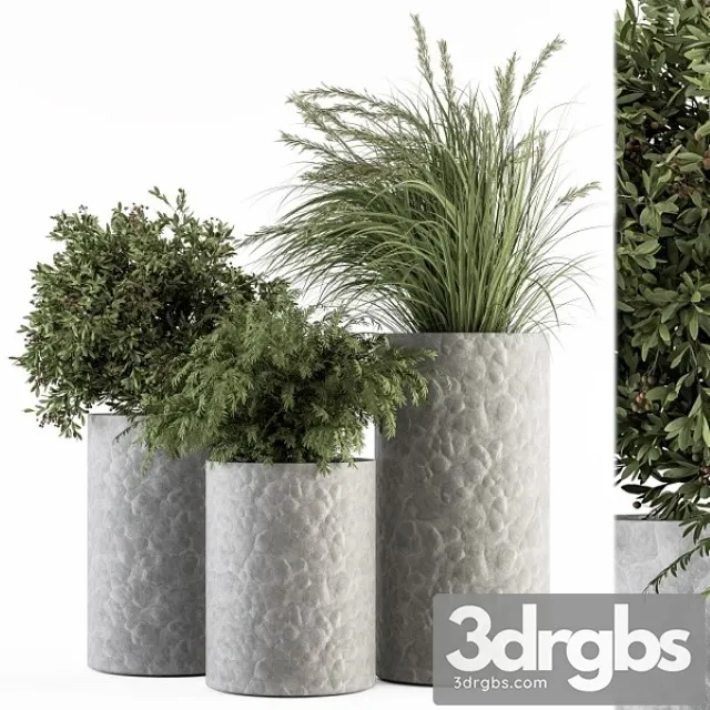 Outdoor Plant Set 22 3D Model Download