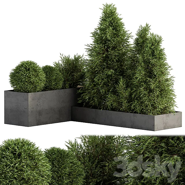Outdoor Plant Set 231 – Plant Box with Tree 3D Model Outdoor Plant Set 231 – Plant Box with Tree 3D Model