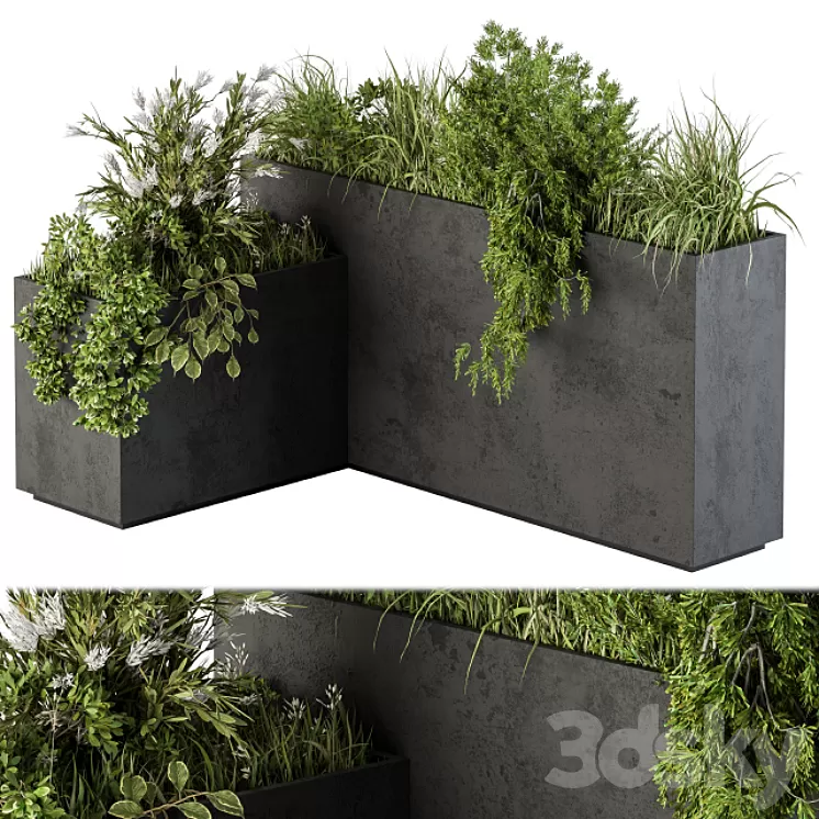 Outdoor Plant Set 248 – Plant L Type Box 3D Model Outdoor Plant Set 248 – Plant L Type Box 3D Model