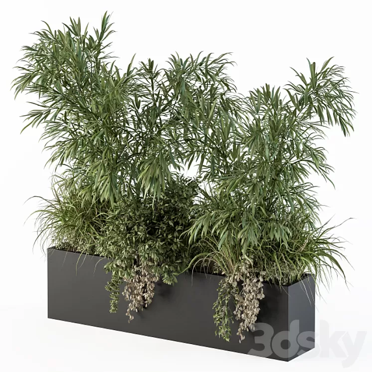 Outdoor Plant Set 252 – Plant Box with Bamboo Tree 3D Model Outdoor Plant Set 252 – Plant Box with Bamboo Tree 3D Model