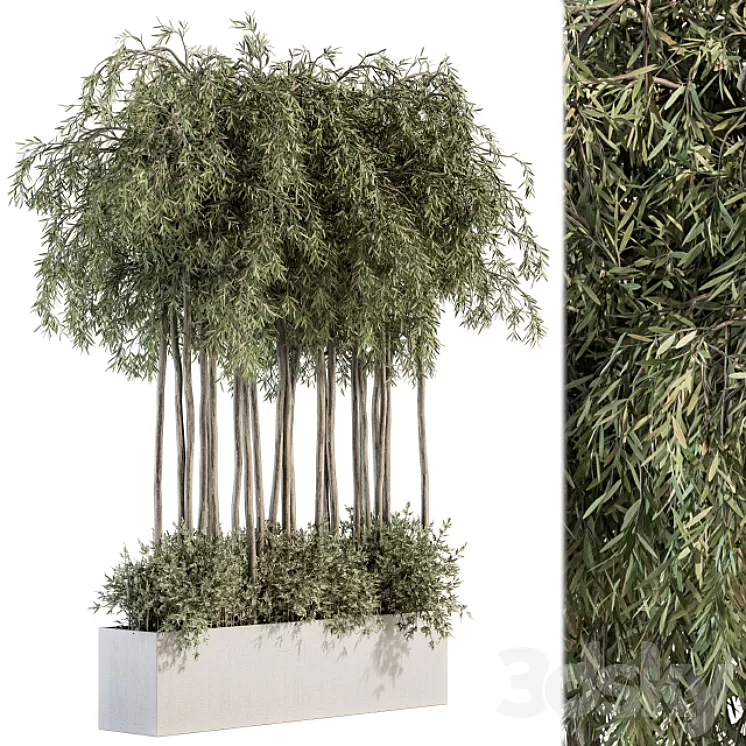 Outdoor Plant Set 264 – Plant Box 3D Model Outdoor Plant Set 264 – Plant Box 3D Model