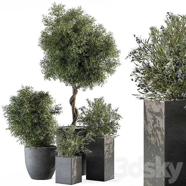 Outdoor Plant Set 273 – Plant Set in Concrete Pot 3D Model Outdoor Plant Set 273 – Plant Set in Concrete Pot 3D Model