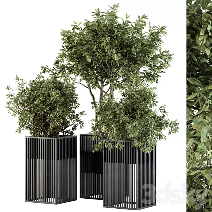 Outdoor Plant Set 276 – Plant Set in Metal Pot 3D Model Free Download