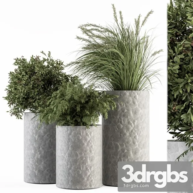Outdoor Plant Set 287 Plant Set In Concrete Pot 3D Model Download