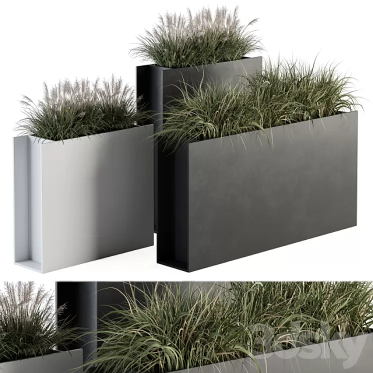 Outdoor Plant Set 288 – Grass in Plant Box 3D Model Free Download