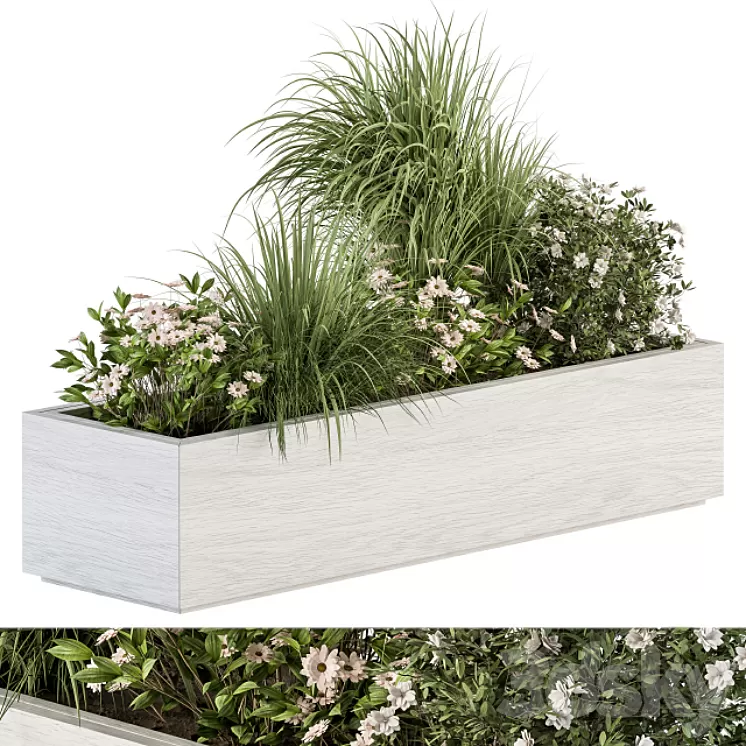 Outdoor Plant Set 290 – Plant Box 3D Model Free Download