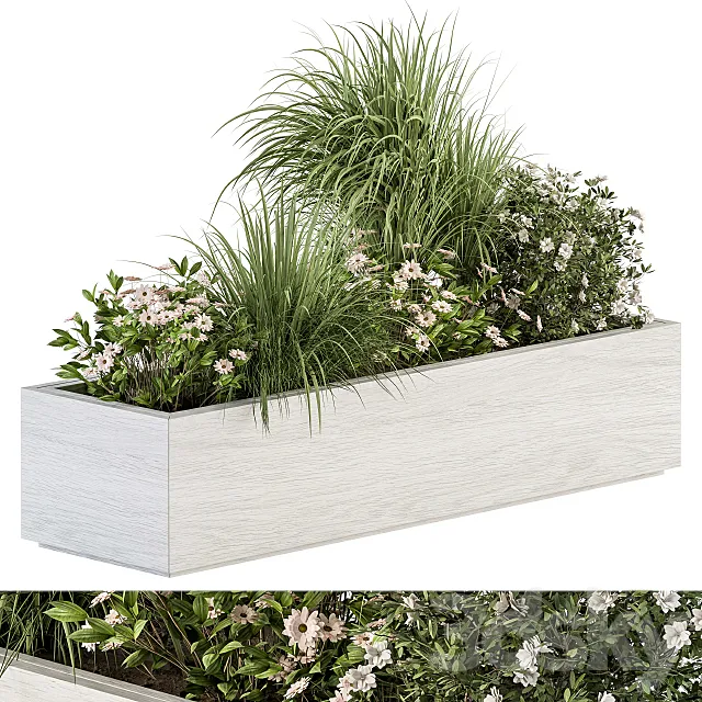 Outdoor Plant Set 290 – Plant Box 3DModel Outdoor Plant Set 290 – Plant Box 3DModel