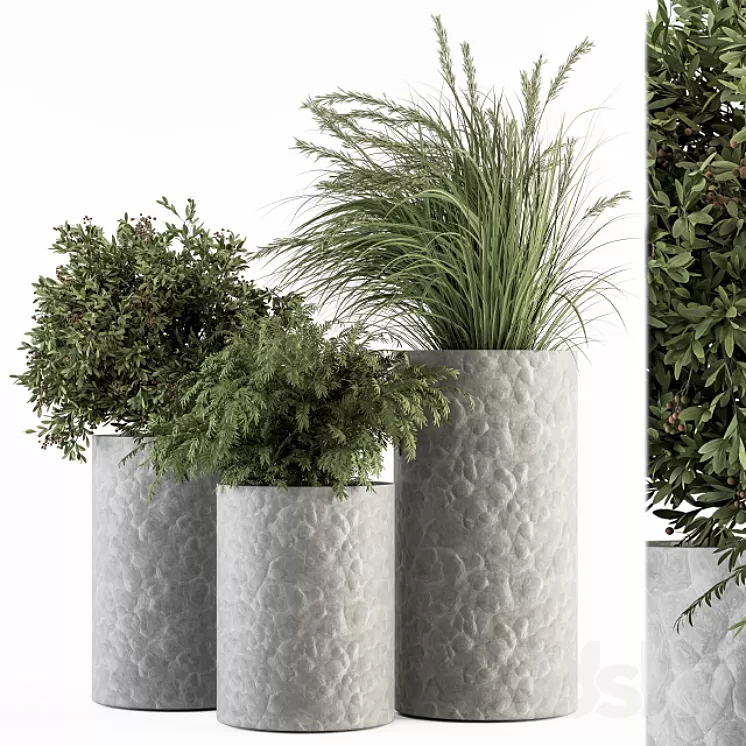 Outdoor Plant Set 292 – Plant Set in Concrete Pot 3D Model Free Download