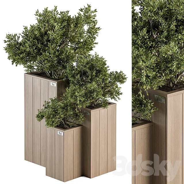 Outdoor Plant Set 298 – Wooden Plant Box 3DModel Outdoor Plant Set 298 – Wooden Plant Box 3DModel