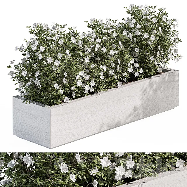 Outdoor Plant Set 304 – Plant Box 3D Model Outdoor Plant Set 304 – Plant Box 3D Model