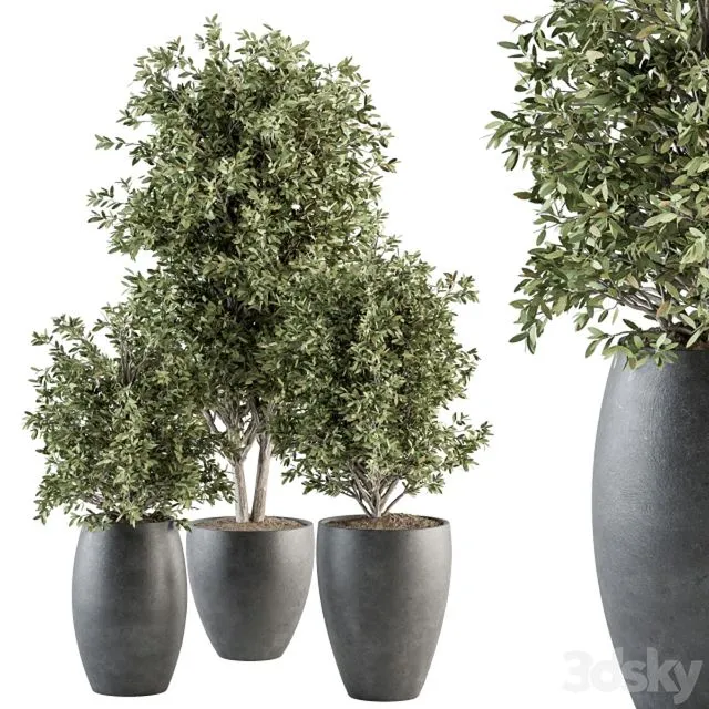 Outdoor Plant Set 306 3D Model Outdoor Plant Set 306 3D Model