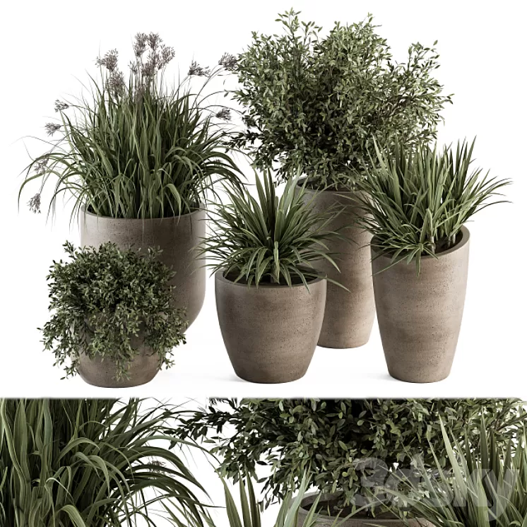 Outdoor Plant Set 311 – Yuka and Bush Set in Concrete Pot 3D Model