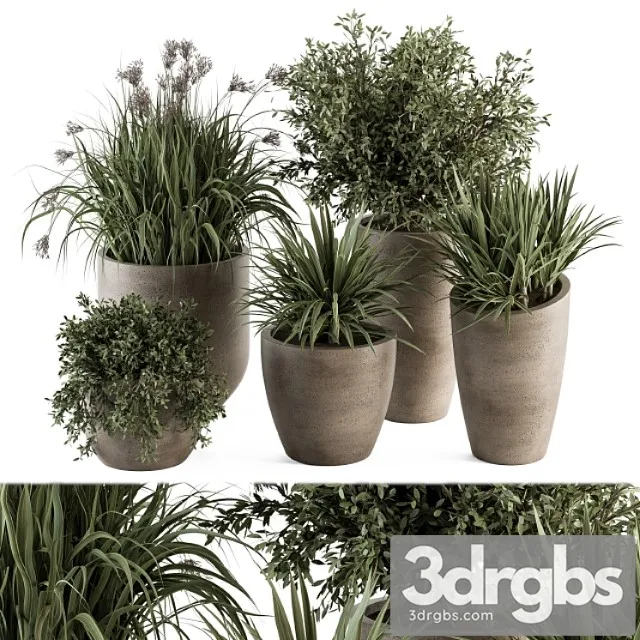 Outdoor plant set 311 – yuka and bush set in concrete pot