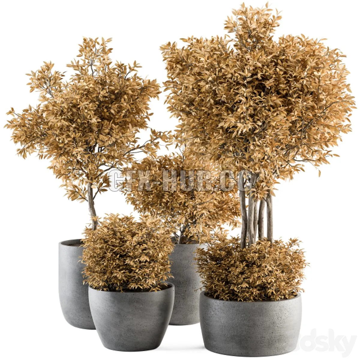 Outdoor Plant Set 322 3D Model Outdoor Plant Set 322 3D Model