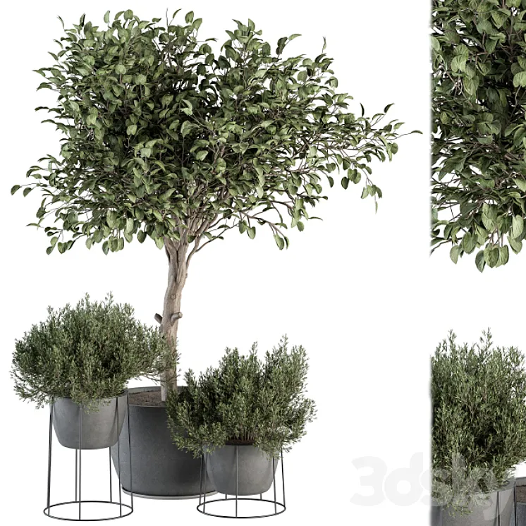 Outdoor Plant Set 323- Plant and Tree Set 3D Model Free Download