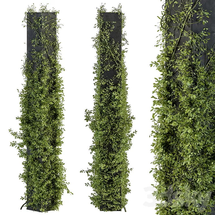 Outdoor Plant Set 394 – ivy on Column 3D Model Free Download