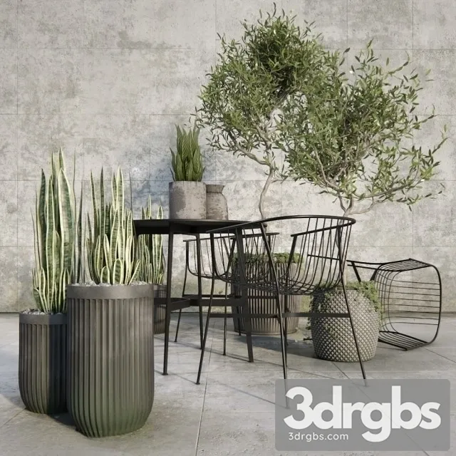 Outdoor Plant Set 3D Model Download