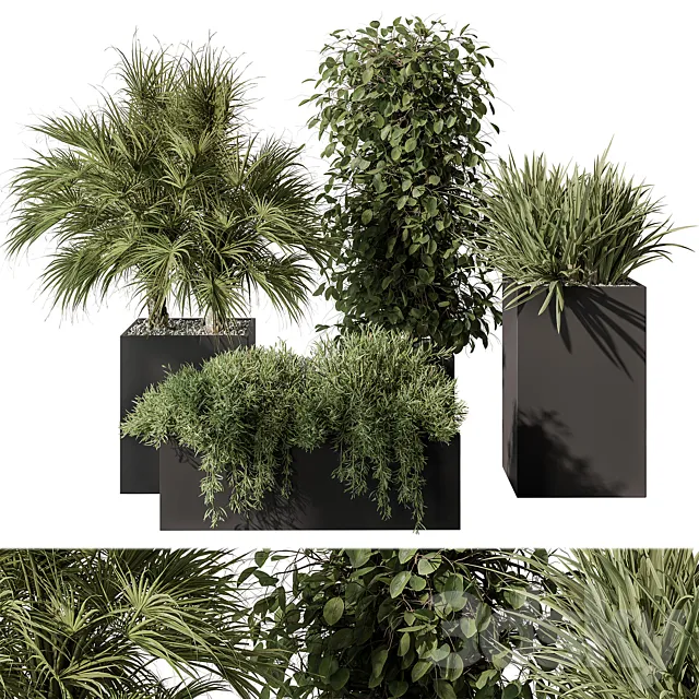 Outdoor Plant Set 402 – Plant Set in Plant Box 3DModel