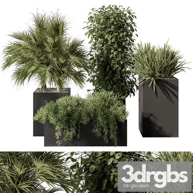 Outdoor plant set 402 – plant set in plant box