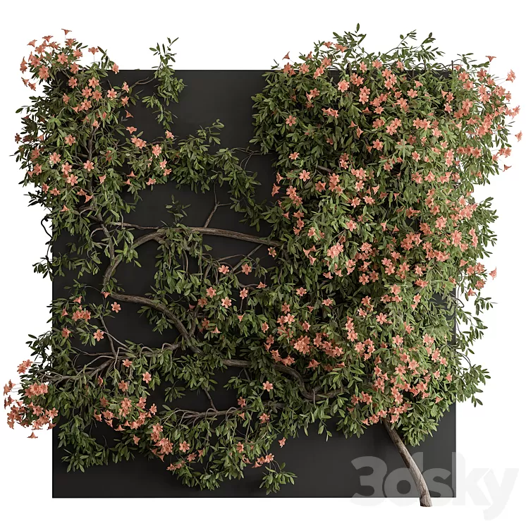 Outdoor Plant Set 426- Ivy on Wall 3D Model Outdoor Plant Set 426- Ivy on Wall 3D Model