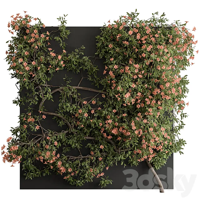 Outdoor Plant Set 426- Ivy on Wall 3D Model Outdoor Plant Set 426- Ivy on Wall 3D Model