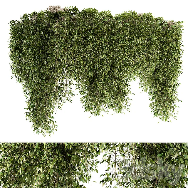 Outdoor Plant Set 96 – Hanging Plants 3D Model