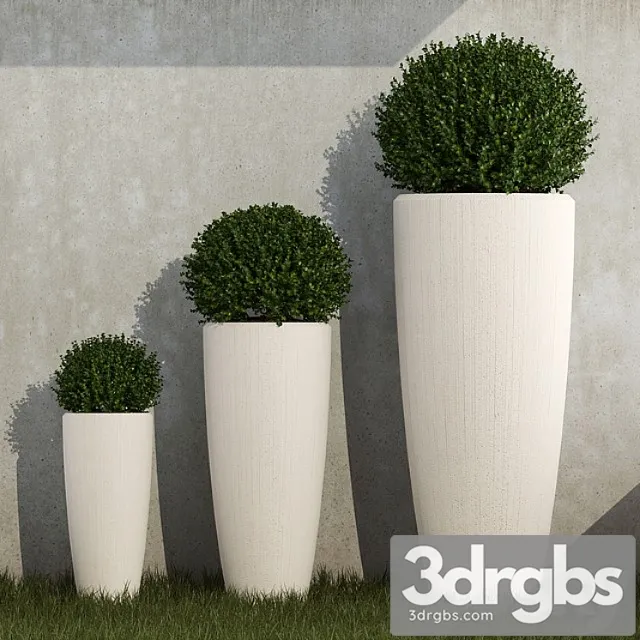 Outdoor Planters 02 3D Model Download