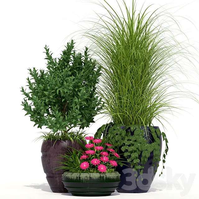 Outdoor Planters 3D Model Outdoor Planters 3D Model