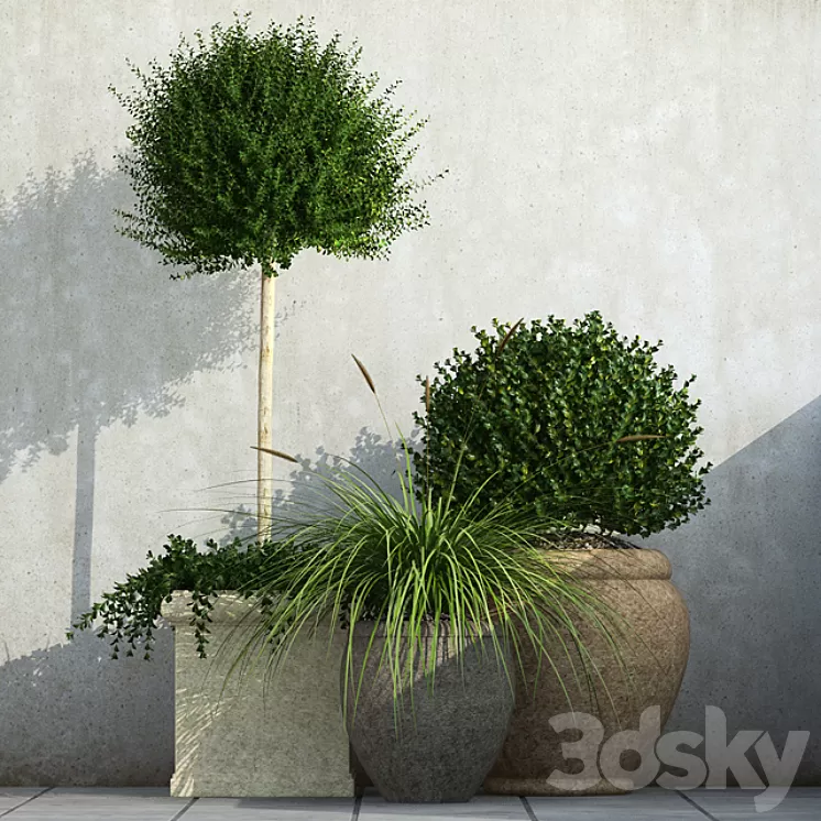Outdoor Planters 3D Model Outdoor Planters 3D Model
