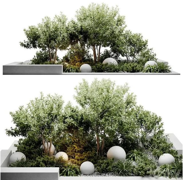 outdoor plants 3D Model