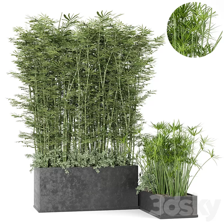 Outdoor Plants Bamboo in rusty Concrete Pot -Set 246 3D Model - 3DSKY ...