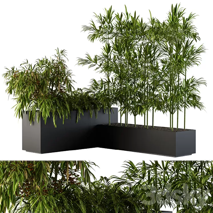 Outdoor Plants Black Plastic Box – Set 73 3D Model