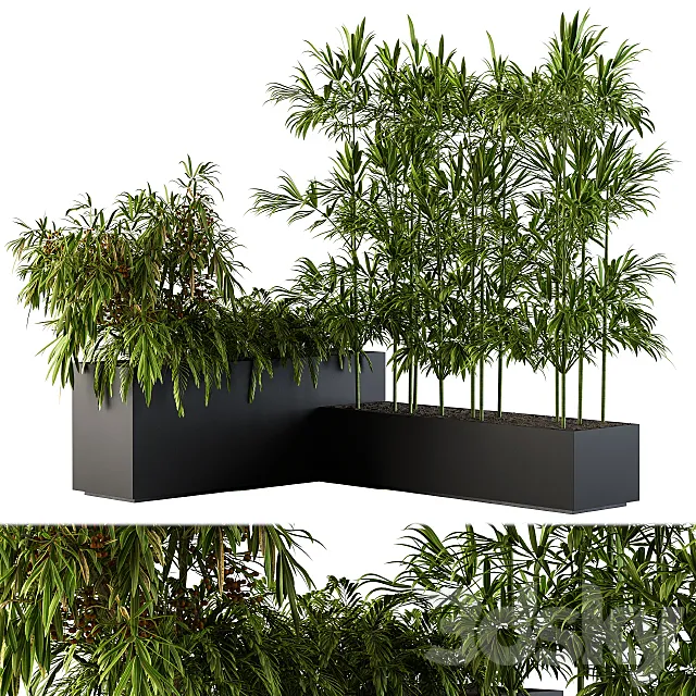 Outdoor Plants Black Plastic Box – Set 73 3DModel