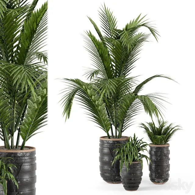 Outdoor Plants bush and Tree in rusty Concrete Pot – Set 148 3D Model Outdoor Plants bush and Tree in rusty Concrete Pot – Set 148 3D Model